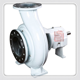 AHLSTAR End Suction Pump